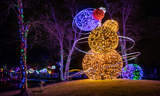 Affordable holiday lights limo rental in Westminster, CO
